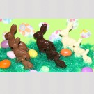 Chocolate Bunnies