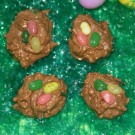 Milk Chocolate Coconut Nest